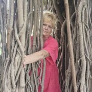  ,   , 55 ,   ,   