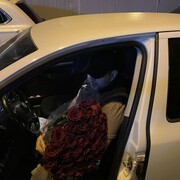 ���������� ������, ���� ������� ����, 28 ���, ������������ ��� ������, ����� � ���������