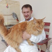 ���������� �������, ���� ������� �������, 42 ����, ������������ ��� ������, ����� � ���������, c�������� ���������