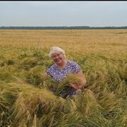 ���������� ��������, ���� ������� �����, 60 ���, ������������ ��� c�������� ���������