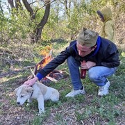 ���������� �����������, ���� ������� ����, 34 ����, ������������ ��� ������, ����� � ���������