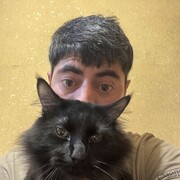  ,   , 38 ,   ,   , c , 