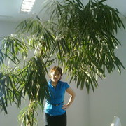 ���������� ����� �������, ���� ������� Aziza, 48 ���, ������������ 