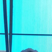  ,   , 48 ,   ,   , c 