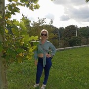 ���������� �����������, ���� ������� ��������, 41 ���, ������������ ��� ������, ����� � ���������