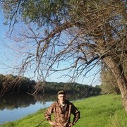 ���������� ���������, ���� ������� A����, 43 ����, ������������ 