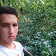  ,  , 29