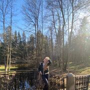 ���������� �����-���������, ���� ������� �������, 41 ���, ������������ ��� ������, ����� � ���������, c�������� ���������