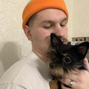 ���������� ���������� �����, ���� ������� �������, 26 ���, ������������ ��� ������, ����� � ���������