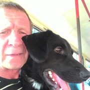  ,   , 58 ,     