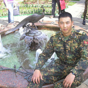  ,   Bilim, 36 ,   