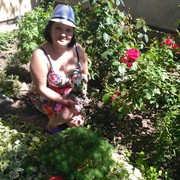  ,   , 55 ,  