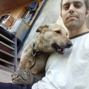  ,   , 31 ,   ,   , c 