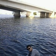 ���������� ���������, ���� ������� ����, 31 ���, ������������ ��� ������