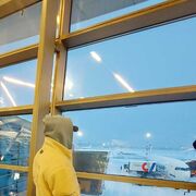 ���������� ������, ���� ������� Ramiz, 35 ���, ������������ ��� c�������� ���������