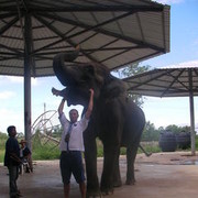 ���������� �����������, ���� ������� ����, 46 ���, ������������ 