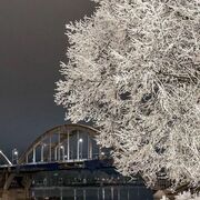  ,   Irina, 52 ,   ,   , c 