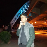  ,   Elik, 31 ,     , c 