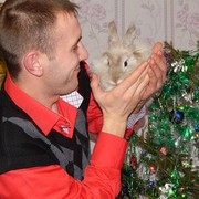 ���������� �����, ���� ������� �����, 36 ���, ������������ ��� ������, ����� � ���������, c�������� ���������