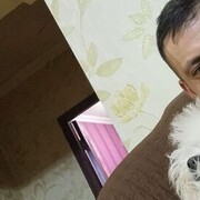  ,   , 37 ,   ,   
