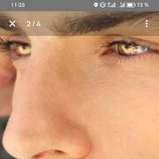 ���������� ��������, ������� ��, 40