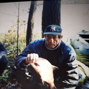 -,   , 72 ,   c 