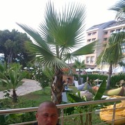 ���������� ������, ���� ������� �����, 31 ���, ������������ ��� ������, ����� � ���������, c�������� ���������