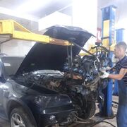 ���������� ���, ���� ������� ���, 39 ���, ������������ ��� c�������� ���������