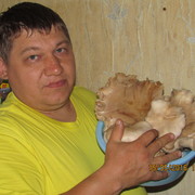  ,   , 46 ,   ,   , c 