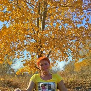 ���������� �����������, ���� ������� ��������, 68 ���, ������������ ��� ����� � ���������, c�������� ���������