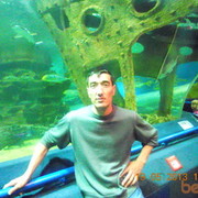 ���������� ��������, ������� ������, 42