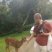 ���������� ������, ���� ������� Alex, 40 ���, ������������ ��� ������, ����� � ���������