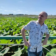 ���������� ���������, ���� ������� �����, 41 ���, ������������ ��� ����� � ���������, c�������� ���������