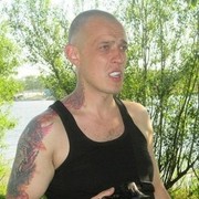  -,   , 41 ,   