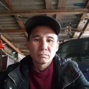 ���������� Novy, ���� ������� �����, 43 ����, ������������ ��� ������, ����� � ���������