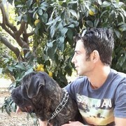  Nicosia,  Nikos, 43