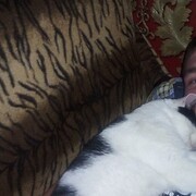  ,   , 25 ,   ,   , c 