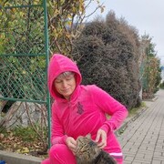  --,   , 54 ,   c 