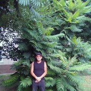  ,   , 49 ,   ,   , c 