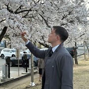 ���������� ������, ������� �������, 27