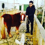  ,   Ruslan, 35 ,   ,   , c 
