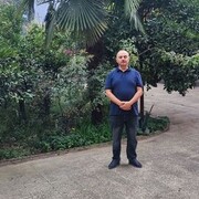  ,  , 44