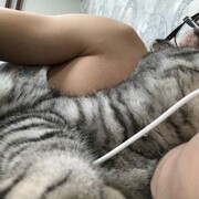  ,   , 35 ,   ,   , 