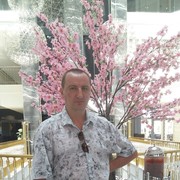  -,   , 52 ,   