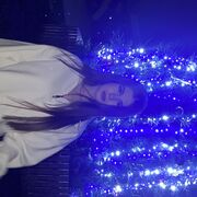 ���������� ����������, ���������