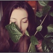 ���������� �����-���������, ���� ������� ��������, 37 ���, ������������ ��� c�������� ���������, ���������