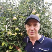  ,   , 62 ,   ,   , 