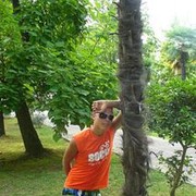  ,   , 34 ,   