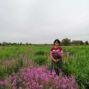 ���������� ���������, ���� ������� ������, 63 ����, ������������ ��� ������, ����� � ���������, c�������� ���������