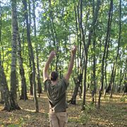 ���������� �����, ���� ������� ������, 31 ���, ������������ ��� ����� � ���������, c�������� ���������